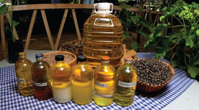 La Production des Biocarburants au Cameroun